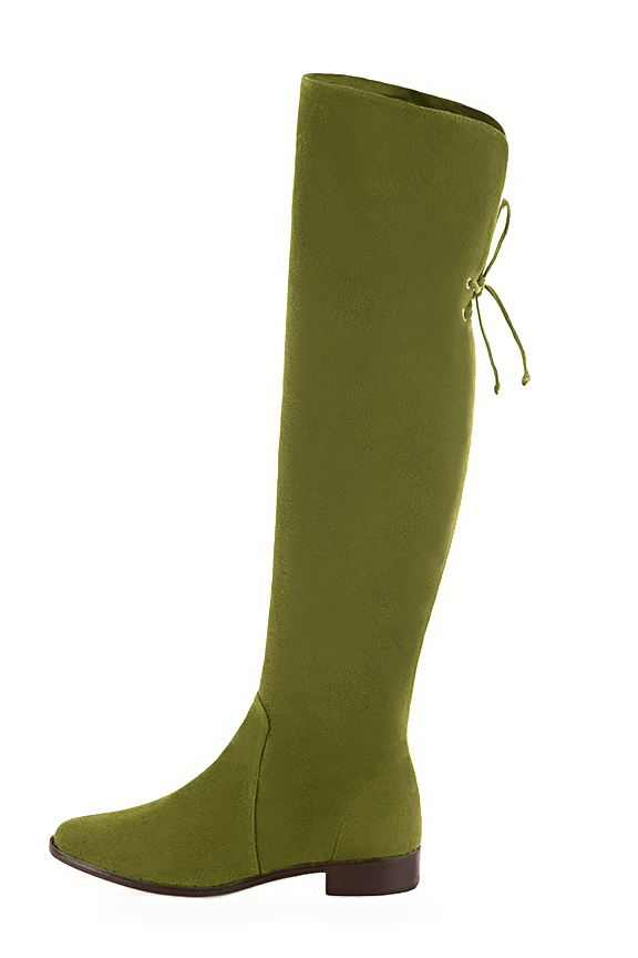 Cuissarde femme : Cuissardes femme en cuir sur mesures couleur vert pistache. Bout rond. Semelle cuir talon plat. Vue de profil - Florence KOOIJMAN